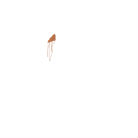 Football Go Raiders - Fill Stitch