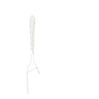 Go Vegan Fork - Fill Stitch Embroidery