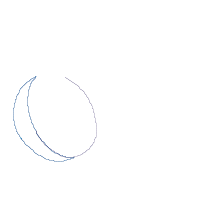 Lemon and Kiwi - Applique