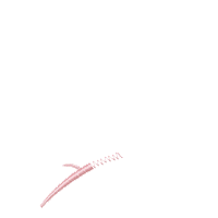 Two Little Birds on a Branch - Fill Stitch