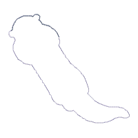 Happy Otter - Applique