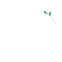 Our First Christmas In Our New Home - Fill Stitch