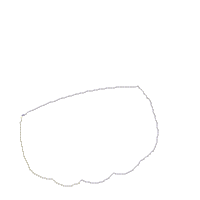 Pirate Pumpkin - Applique