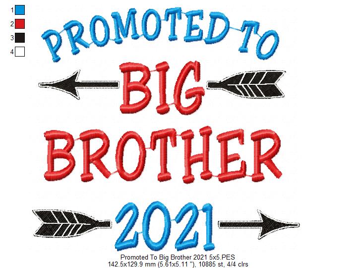 Promoted to Big Brother 2021 - Fill Stitch