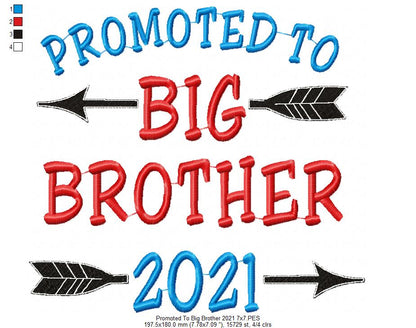 Promoted to Big Brother 2021 - Fill Stitch
