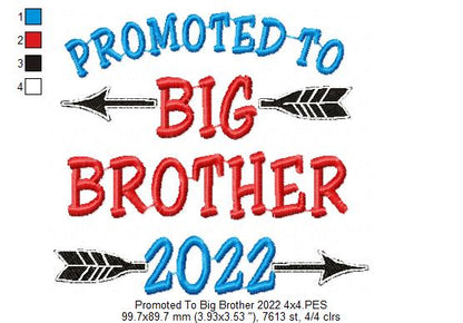 Promoted to Big Brother 2022 - Fill Stitch