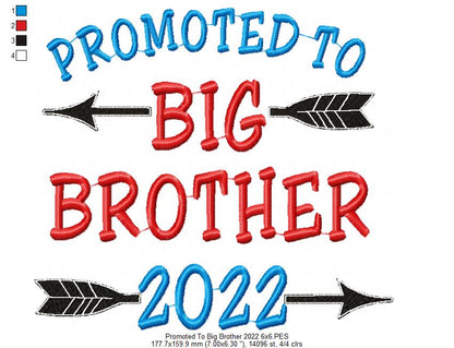 Promoted to Big Brother 2022 - Fill Stitch