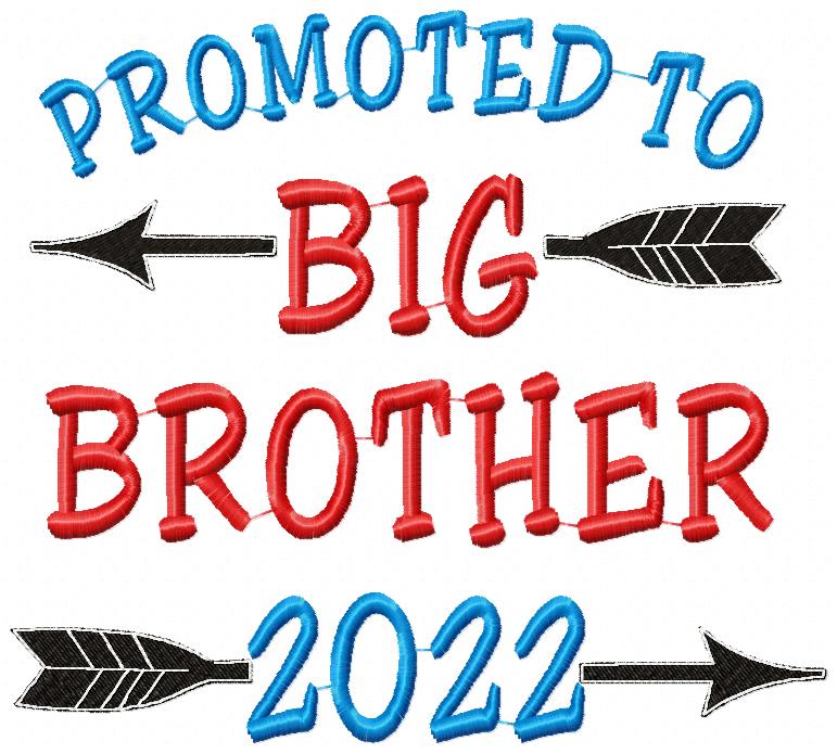 Promoted to Big Brother 2022 - Fill Stitch
