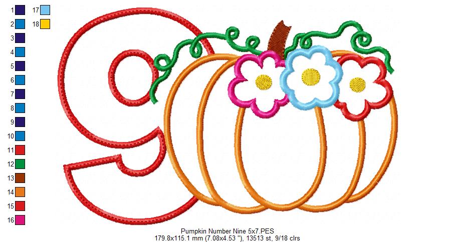 Thanksgiving Pumpkin Number 9 Nine 9th Birthday - Applique
