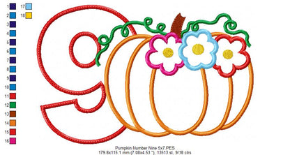 Thanksgiving Pumpkin Number 9 Nine 9th Birthday - Applique