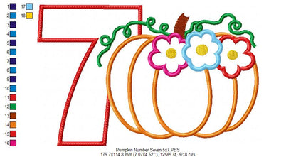 Thanksgiving Pumpkin Number 7 Seven 7th Birthday - Applique