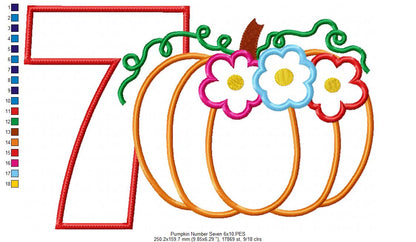 Thanksgiving Pumpkin Number 7 Seven 7th Birthday - Applique