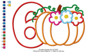 Thanksgiving Pumpkin Number 6 Six 6th Birthday - Applique