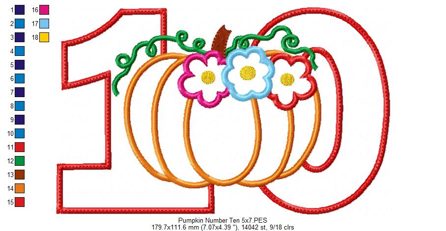Thanksgiving Pumpkin Number Ten 10 Tenth Birthday - Applique