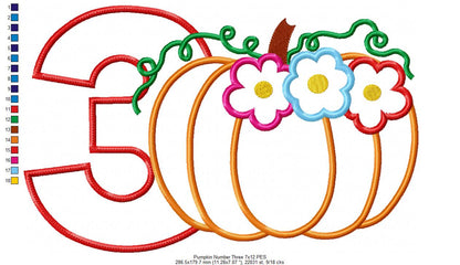 Thanksgiving Pumpkin Number 3 Three 3rd Birthday - Applique