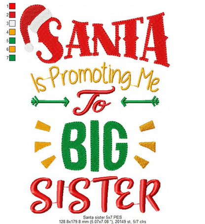 Santa is Promoting me to Big Sister and Brother - Set of 2 designs - Fill Stitch