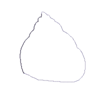 Shell House - Applique