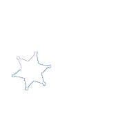 Sparkle Like a Cowgirl - Applique - Machine Embroidery Design