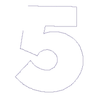 Spider Web Five 5th Fifth Birthday Number 5 Five - Applique