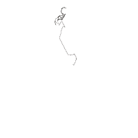 Strange and Unusual - Fill Stitch