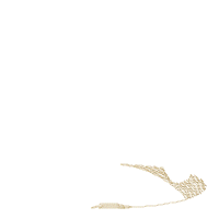 Summer Watermelon Surfer - Applique