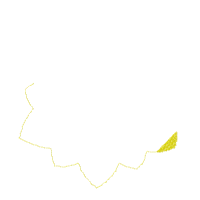 Summer Sunflower - Fill Stitch - Machine Embroidery Design