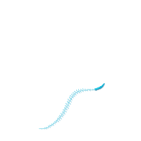 Sweet Angel - Fill Stitch