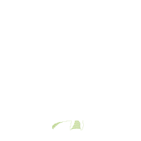 Sweet Ballerina - Rippled