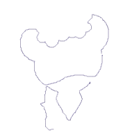 Tiger Girl with Flowers - Applique