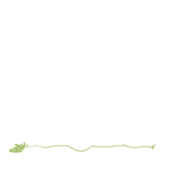 Love Truck Full of Hearts - Applique Embroidery