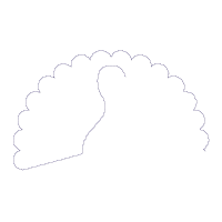 USA Thanksgiving Turkey - Applique