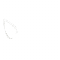 Halloween Witch Unicorn - Fill Stitch