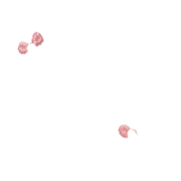 Vintage Santa Claus - Fill Stitch