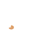 Whatever Spices your Pumpkin - Fill Stitch