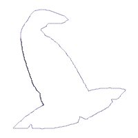 Witch Hat - Applique