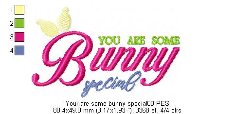 You are some Bunny special - Fill Stitch