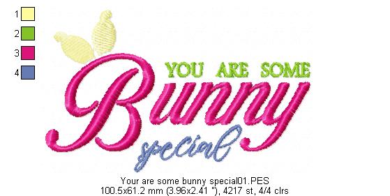 You are some Bunny special - Fill Stitch
