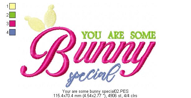 You are some Bunny special - Fill Stitch