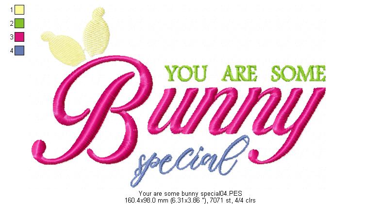 You are some Bunny special - Fill Stitch