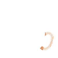 Prince Zebra in the Cup - Fill Stitch