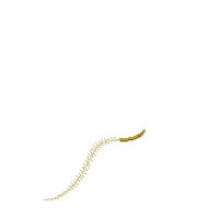 Sweet Angel Baby Feet and Wing - Fill Stitch