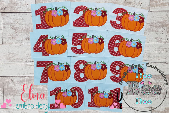 Thanksgiving Numbers Birthday Set Numbers 1-11 - Applique