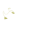 Christmas Reindeer - Fill Stitch - Machine Embroidery Design